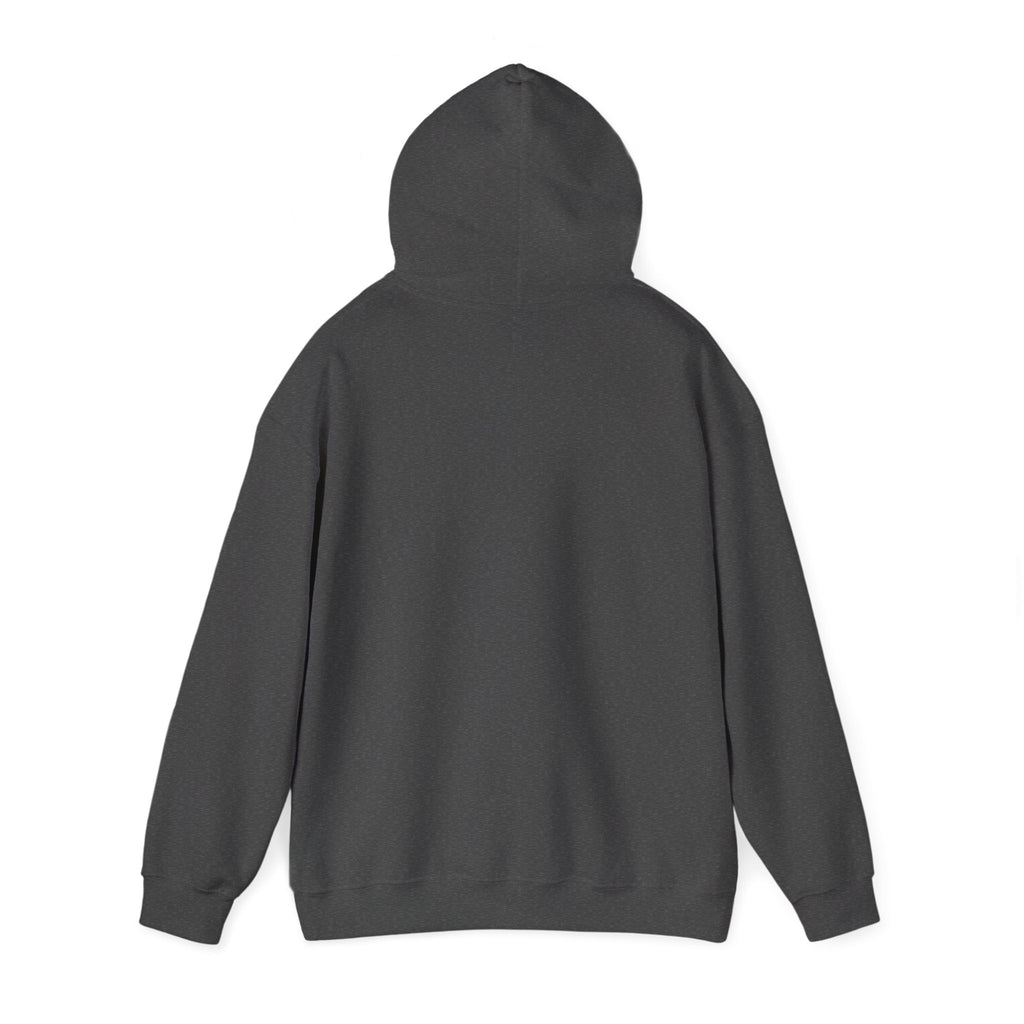 Heartbeat Minimalist Hoodie — Calm EKG Line Graphic Sweatshirt