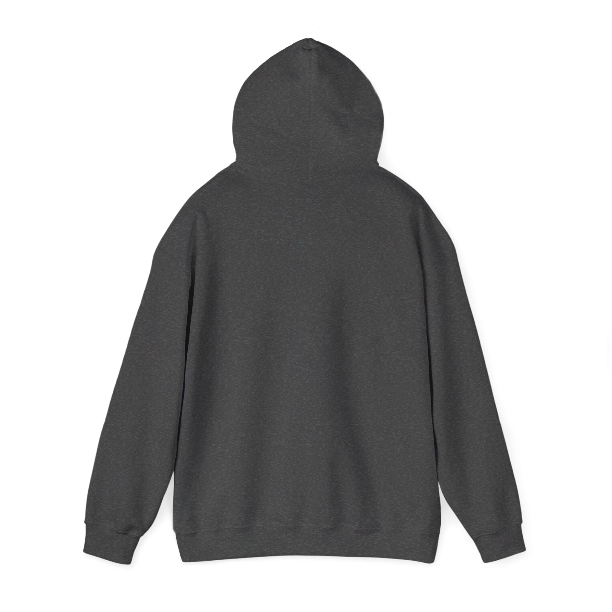 Heartbeat Minimalist Hoodie — Calm EKG Line Graphic Sweatshirt